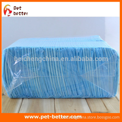 Doggy Diaper Potty Training